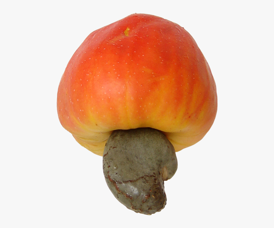Cashew Fruit Transparent, Transparent Clipart