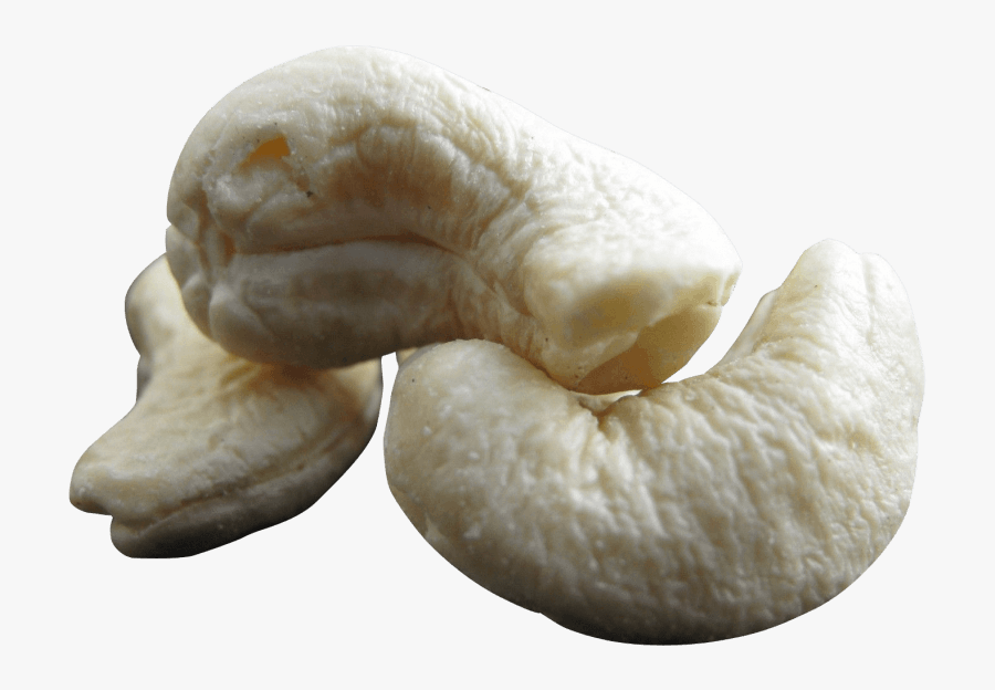 Png Free Images Toppng - Cashew, Transparent Clipart