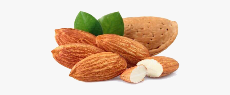 Almond Butter Nut Food Cashew - Almond Png, Transparent Clipart