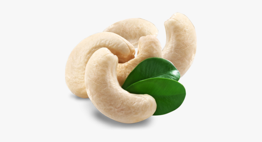 Cashew Png Transparent Images - Dry Fruits Kaju Png, Transparent Clipart