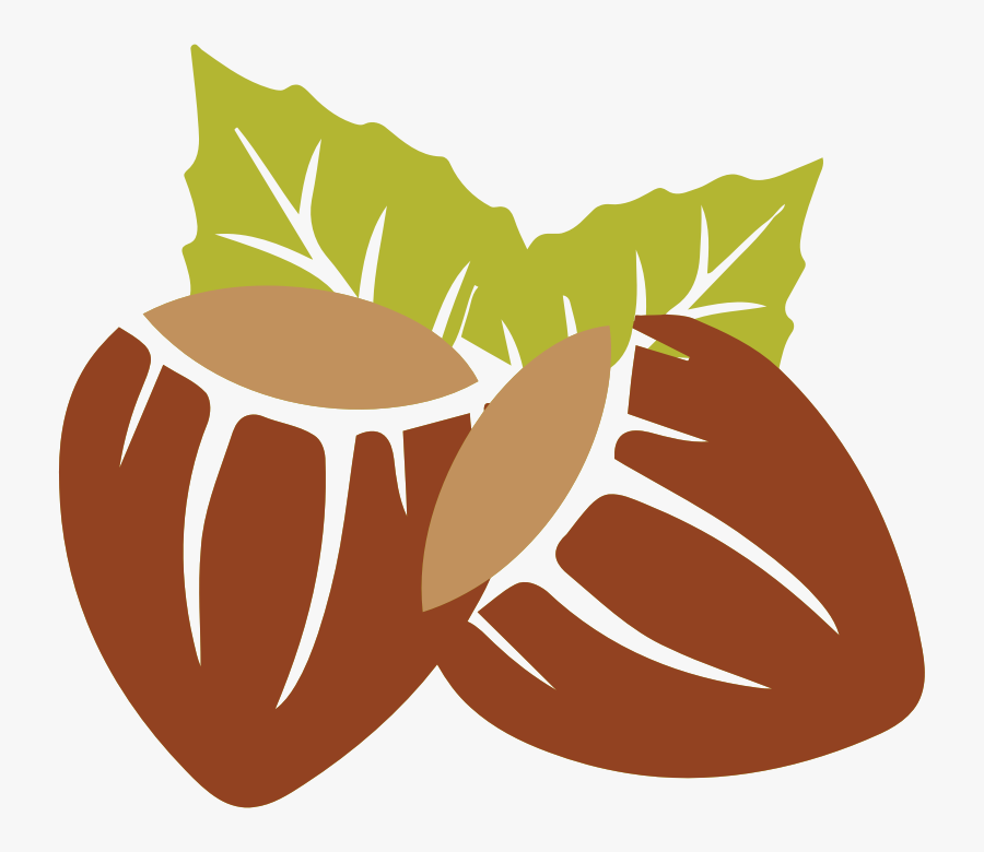 Nut Clipart Hazelnut - Hazelnut Clipart, Transparent Clipart