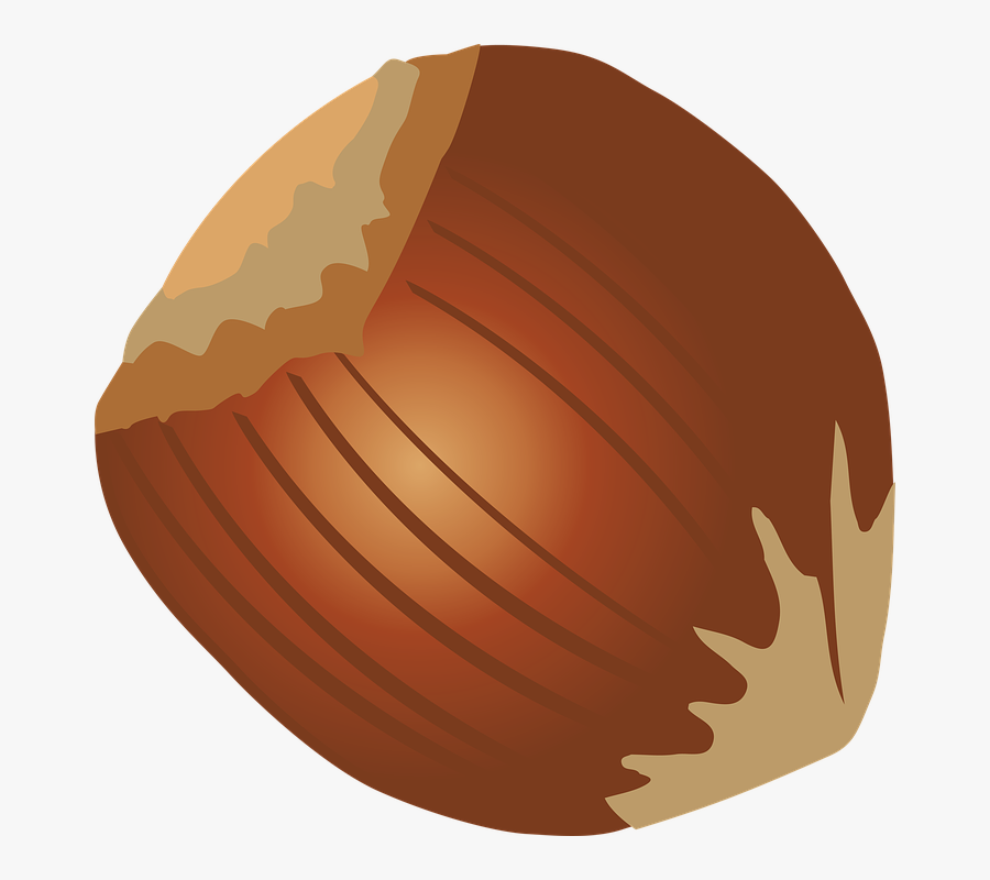 Food Hazelnuts Dry Fruit - Hazelnut Clipart, Transparent Clipart