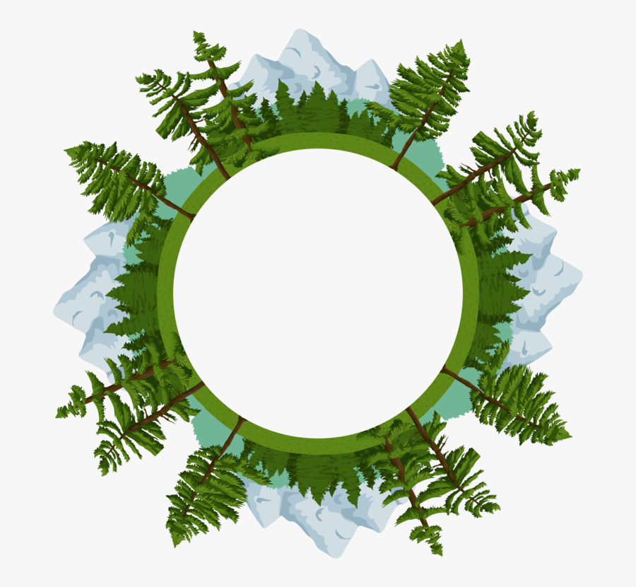 Fir,pine Family,plant - Wreath, Transparent Clipart