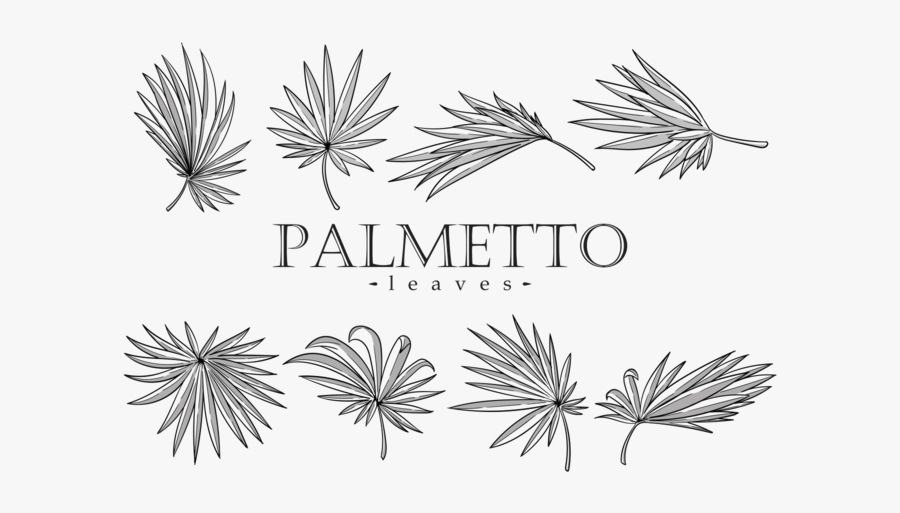 Palmetto Leaves Vector - Palmetto Leaf Vector, Transparent Clipart