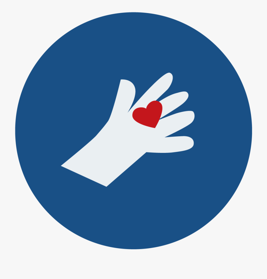 Circle, Transparent Clipart