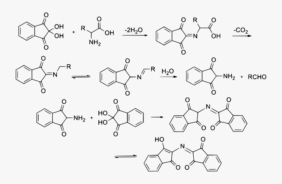 Ninhydrin Reaction Mechanism, Transparent Clipart