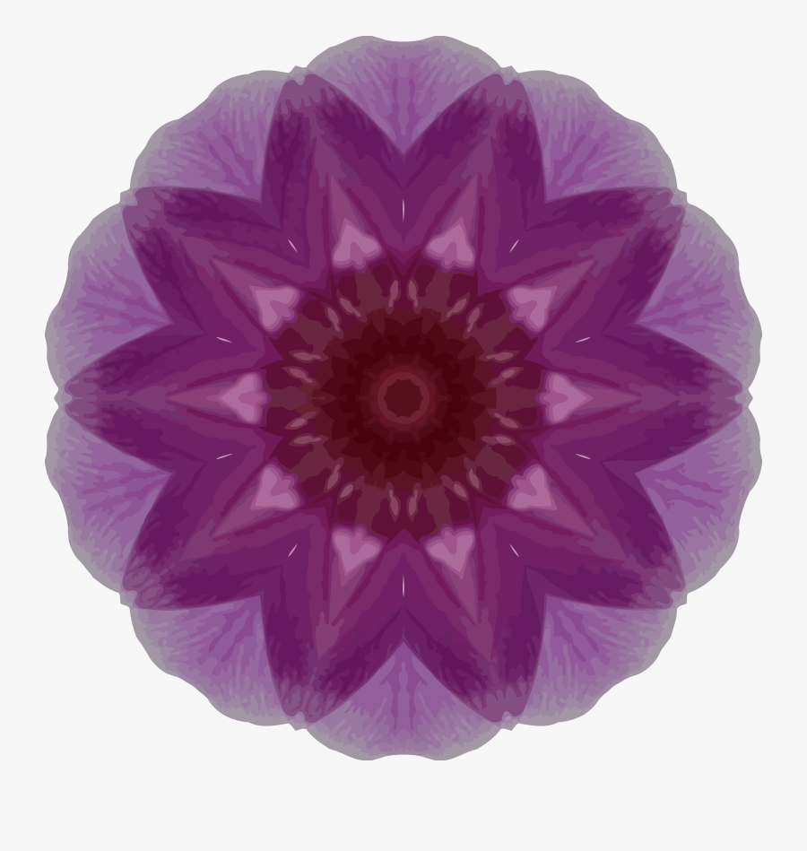Lavender Clipart Orchid Flower - Plastic, Transparent Clipart