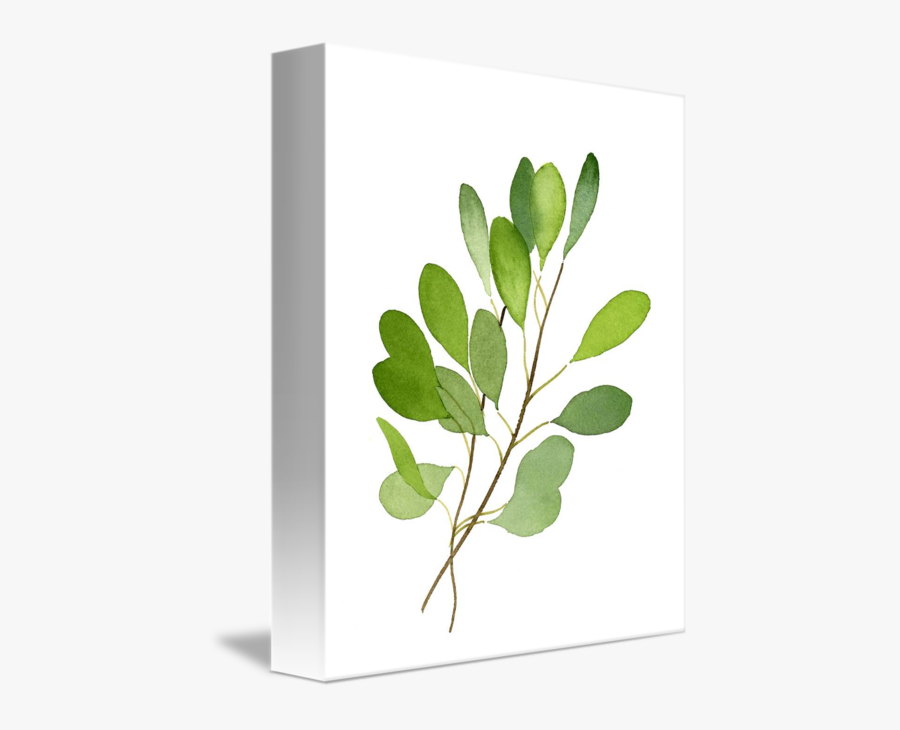 Clip Art Eucalyptus Leaves - Eucalyptus Leaf, Transparent Clipart