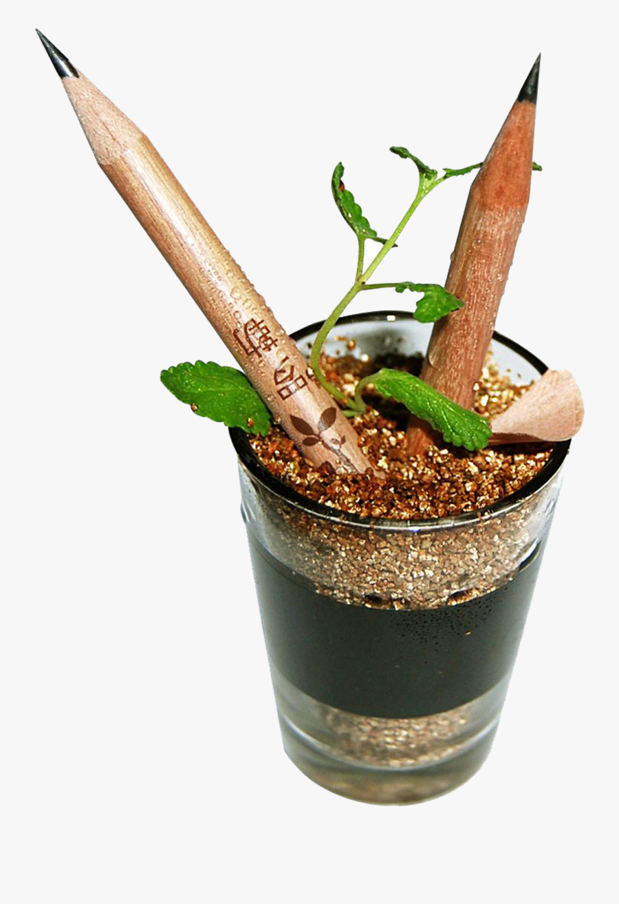 Drawn Pot Plant Plant Seed Clipart , Png Download - Plantable Pencil Icon Png, Transparent Clipart
