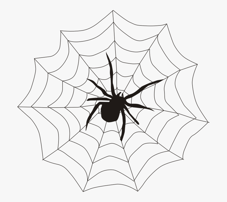 Arachnid Spider Web Clipart - Spider On A Web Clipart, Transparent Clipart