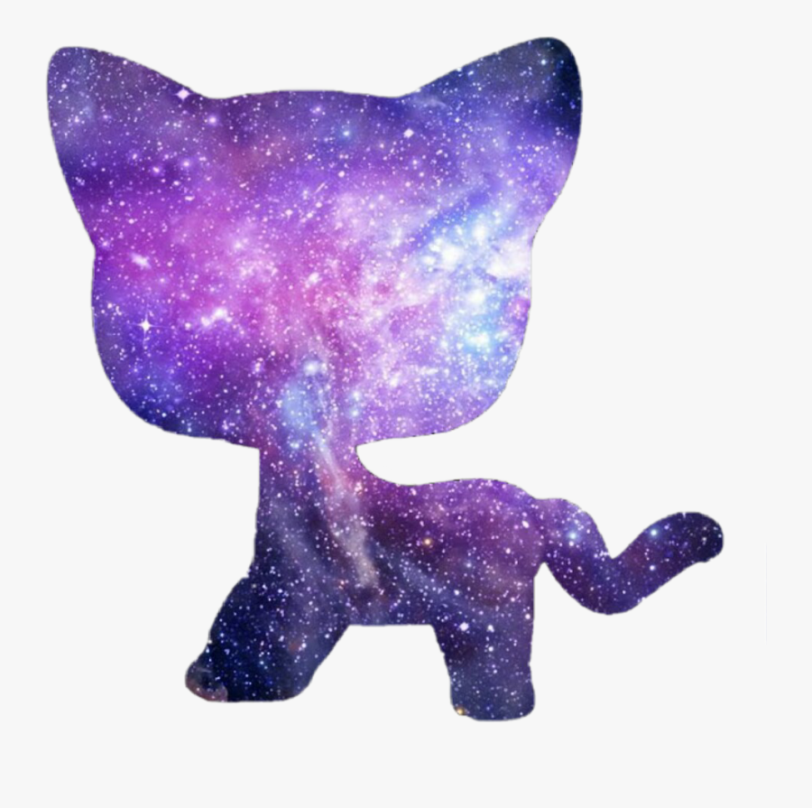 lps png shorthair cat