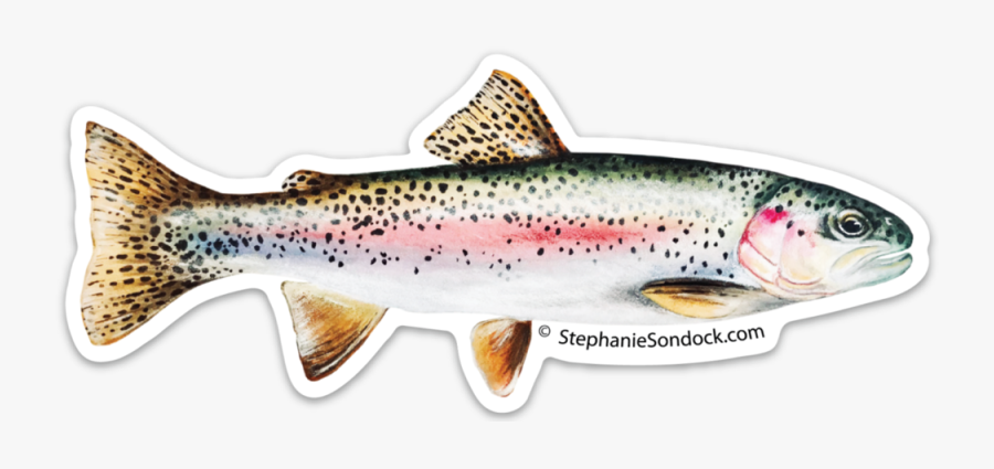 Trout Clipart Rainbiw - Rainbow Trout Cut Out, Transparent Clipart