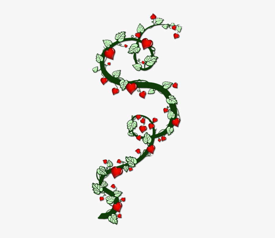 Heart, Transparent Clipart