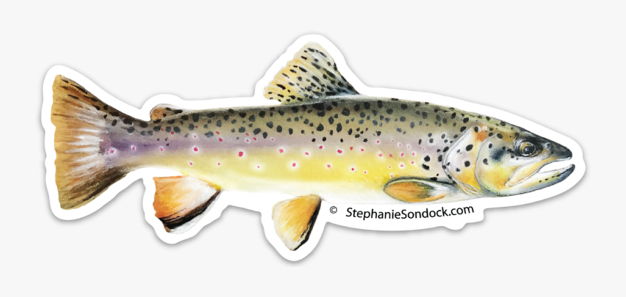 Clip Art Brown Trout Pictures - Brown Trout, Transparent Clipart