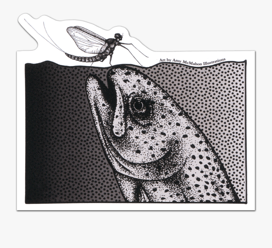 Amy Mcmahon Rising Rainbow Trout Decal - Motif, Transparent Clipart