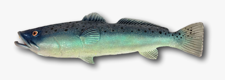 Transparent Brook Trout Clipart - Trout, Transparent Clipart