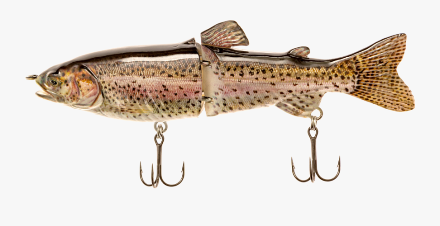 Transparent Real Rainbow Png - Trout, Transparent Clipart