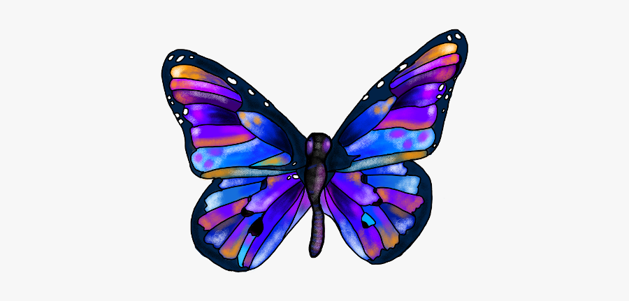 Rainbow Butterfly Clipart Picsart - Butterfly Picture Kids, Transparent Clipart