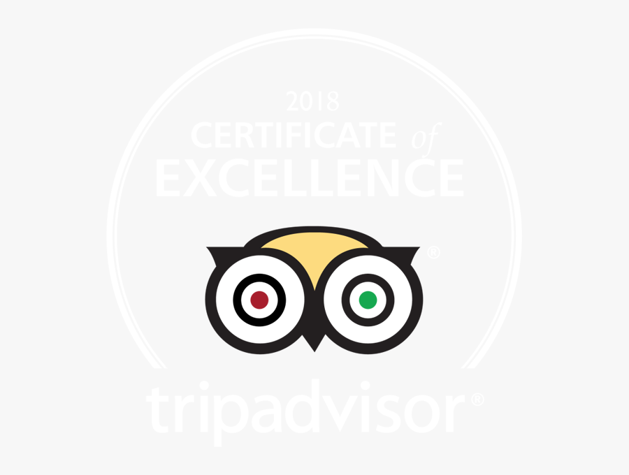 Trip Advisor Png, Transparent Clipart