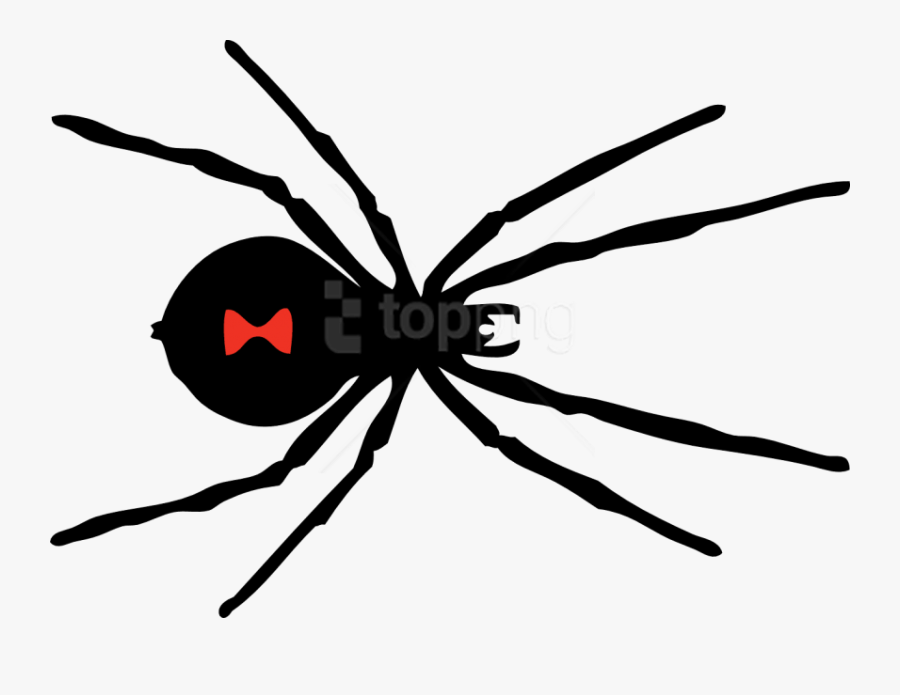 Spider Clipart Png - Black Widow Spider Pattern, Transparent Clipart