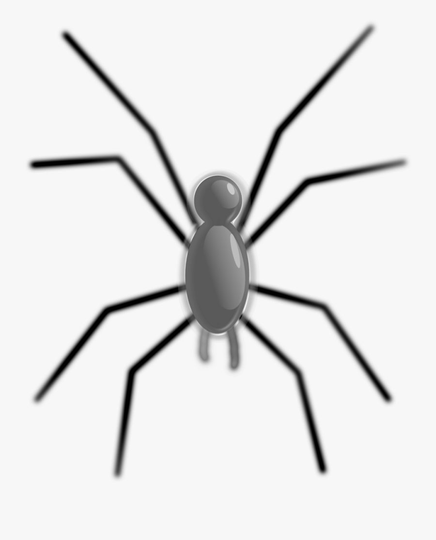 Public Domain Clip Art - Animals With 8 Legs Clipart, Transparent Clipart