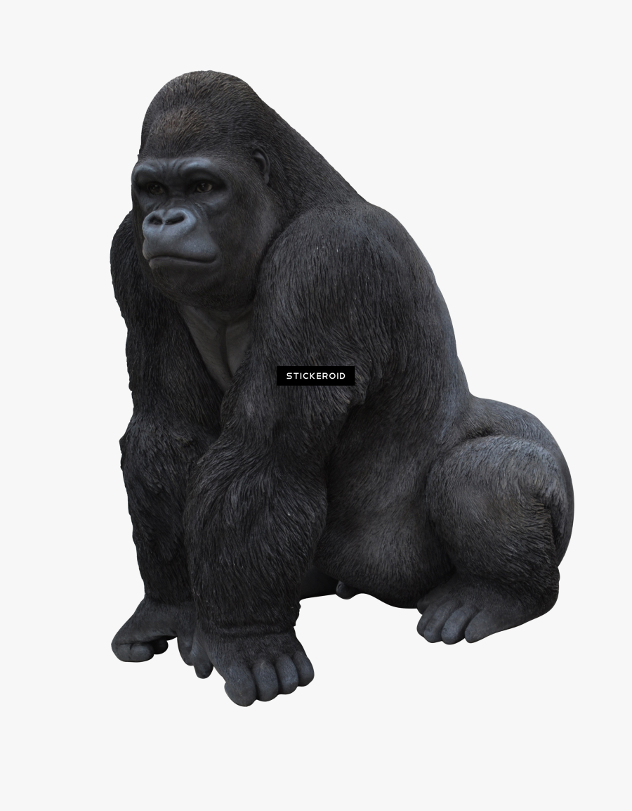 Mountain Gorilla, Transparent Clipart