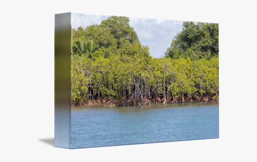 Clip Art In The Estuary By - Loch, Transparent Clipart