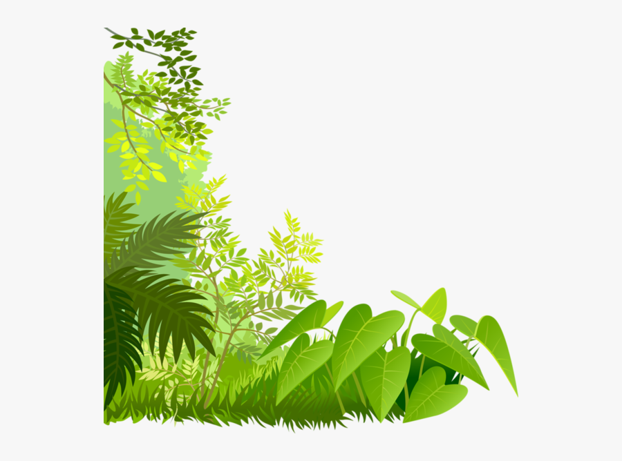 Bordure De Page Feuille, Transparent Clipart