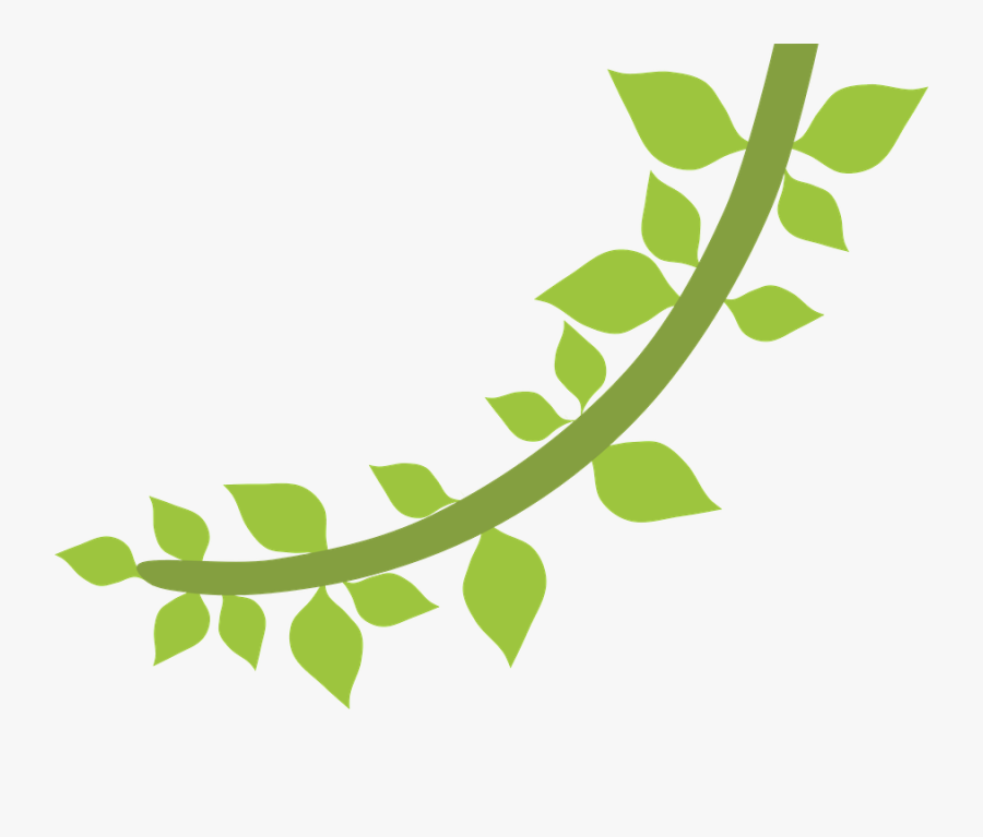 Leaves Clipart Safari - Cipó Desenho Png, Transparent Clipart