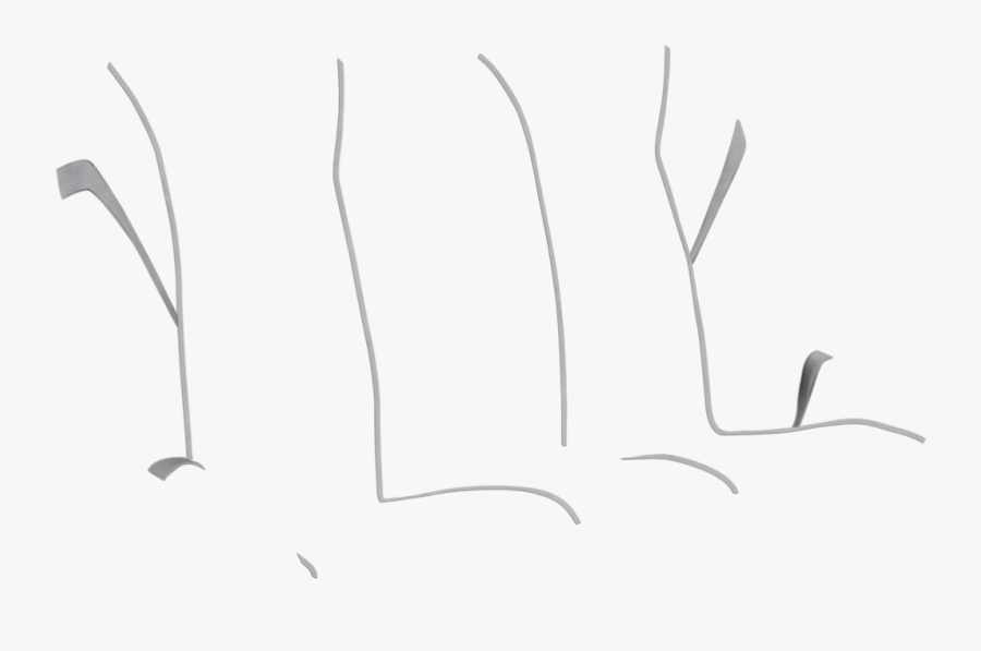 Sketch, Transparent Clipart