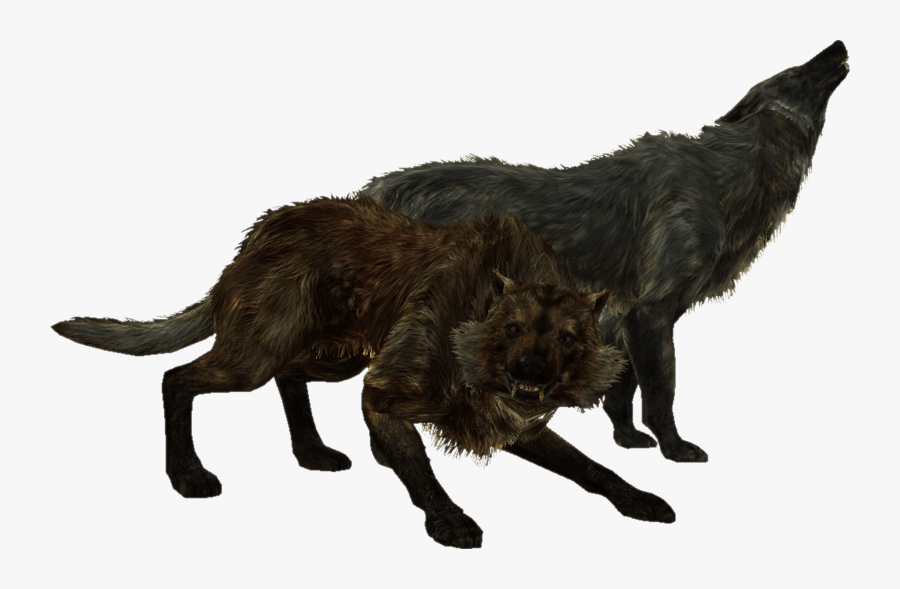 Skyrim Wolves, Transparent Clipart