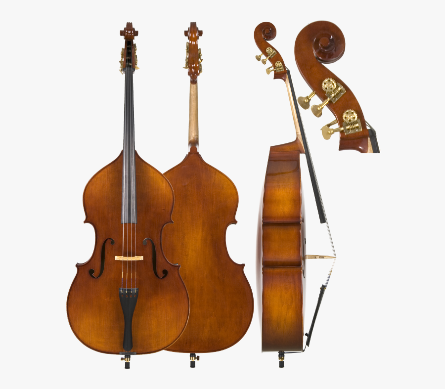 Cello Double Bass Violin String Instruments Musical - Double Bass Components, Transparent Clipart