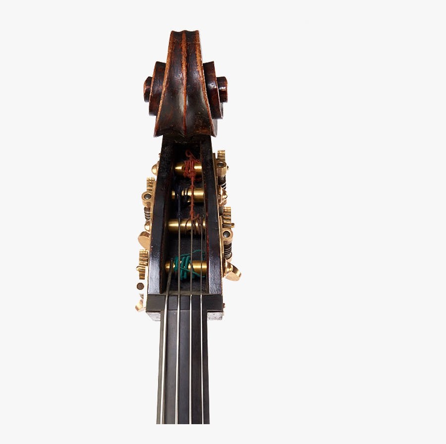 Cello Double Bass Bass Guitar Musical Instruments Photography - Double Bass, Transparent Clipart
