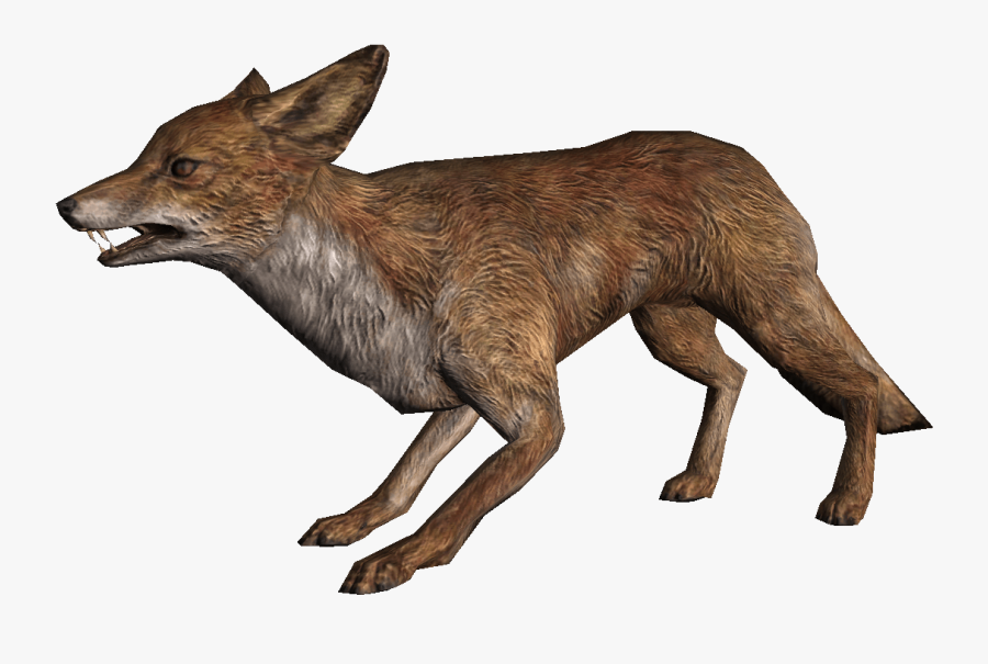Fox Skyrim, Transparent Clipart