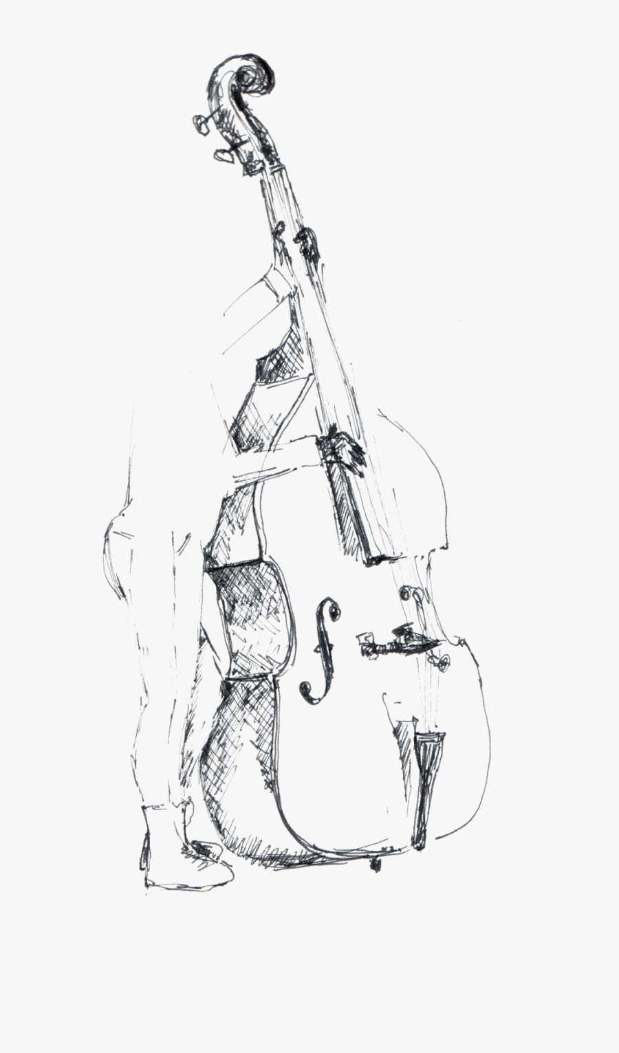 Transparent Double Bass Png - Sketch, Transparent Clipart