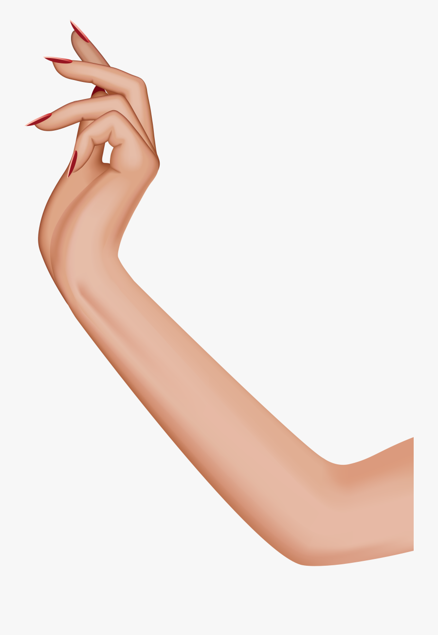 Elbow Clipart Transparent - Female Hand Png, Transparent Clipart