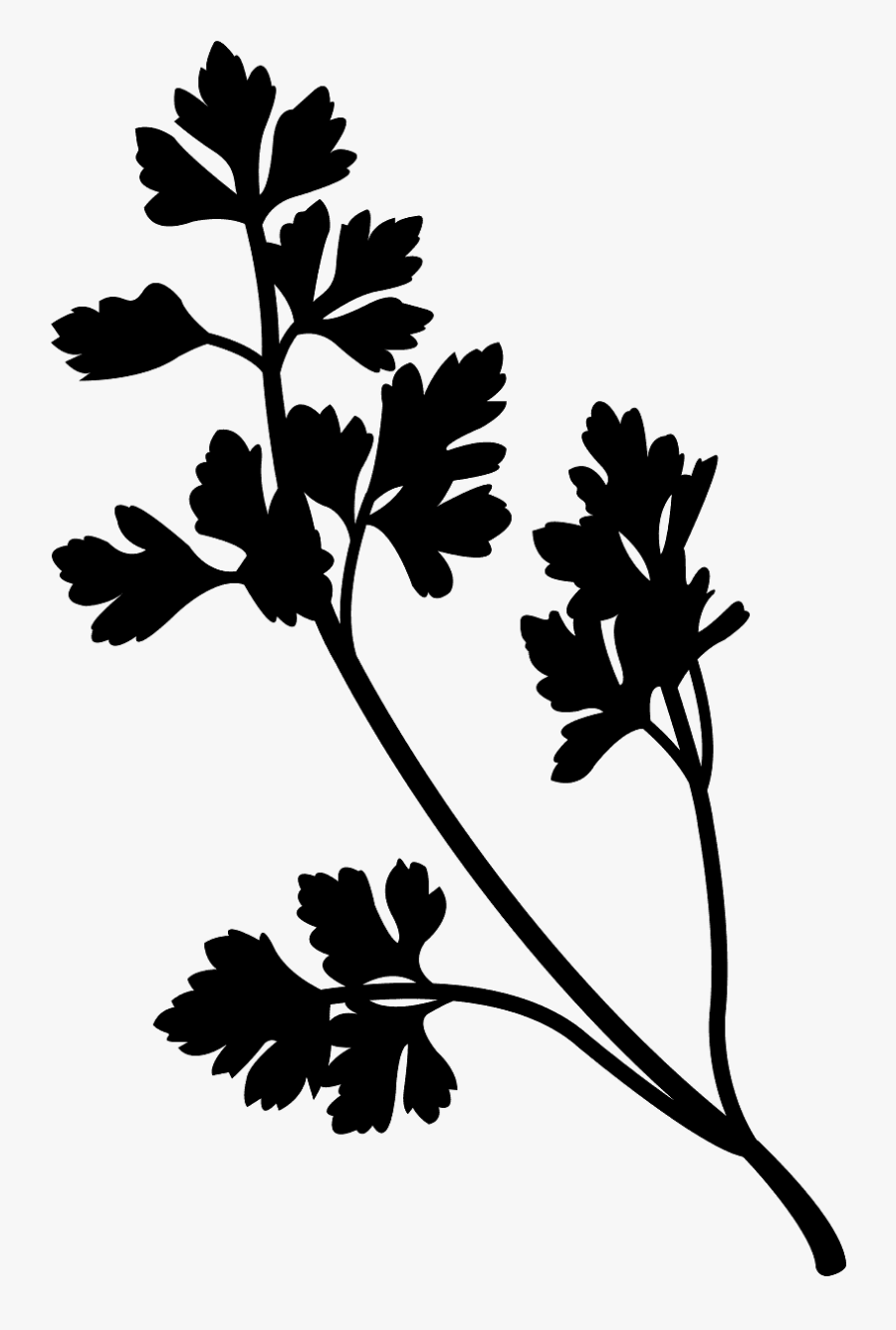 Parsley Silhouette, Transparent Clipart
