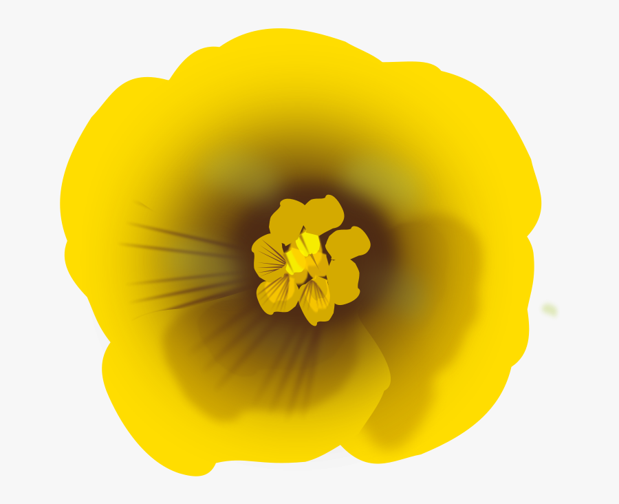 Flower Yellow - Floramarela Png, Transparent Clipart
