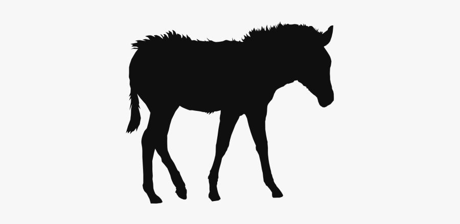 Clip Art Horse Black Background - Animals Clipart Black Png, Transparent Clipart
