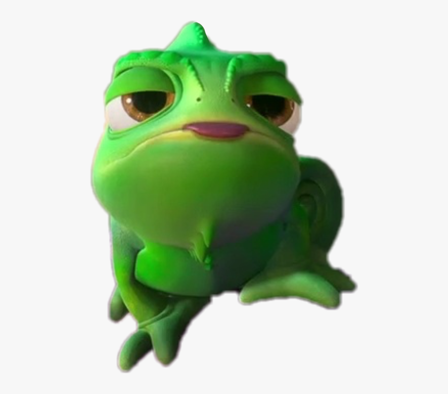 disney shoulder pascal