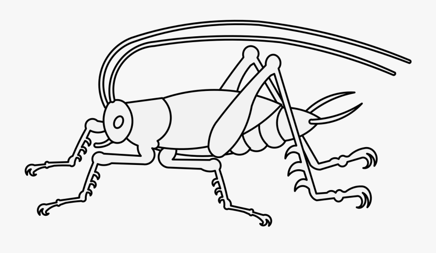 Grasshopper, Transparent Clipart