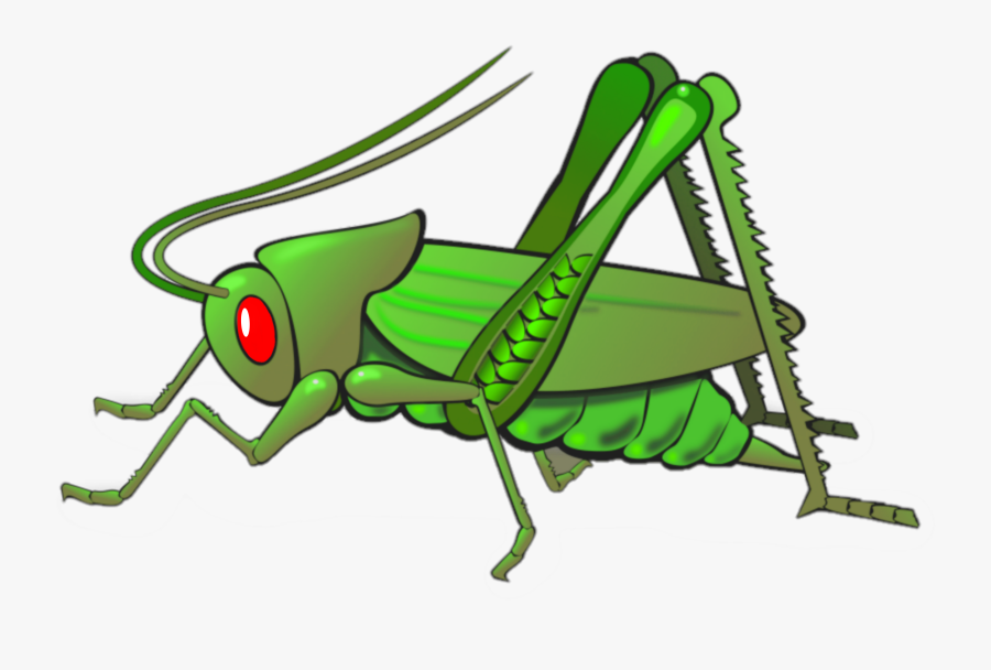 #belalang - Insect Cricket Clipart, Transparent Clipart