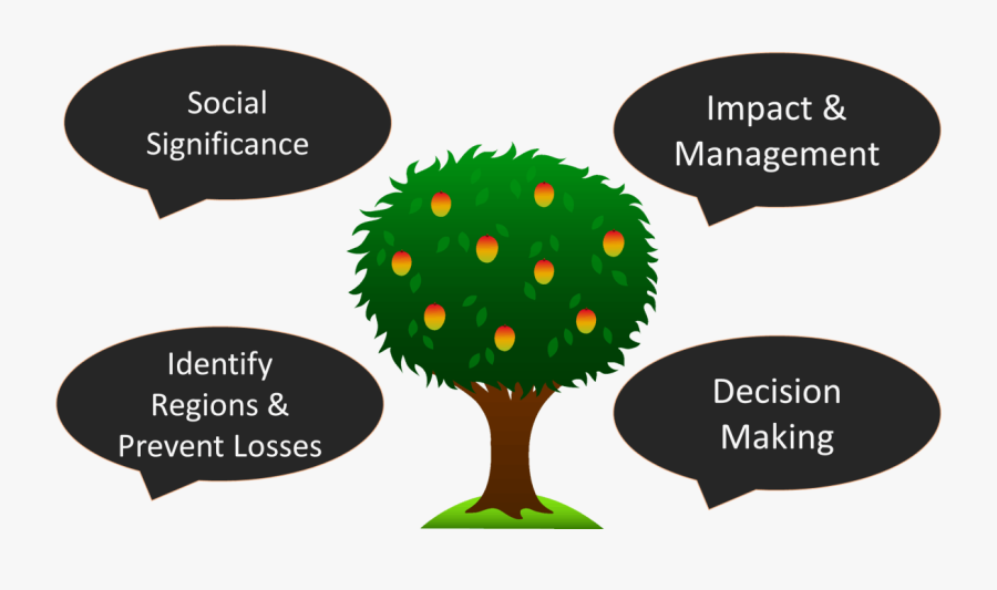Applied Geomorphology Image-2 - Tree, Transparent Clipart