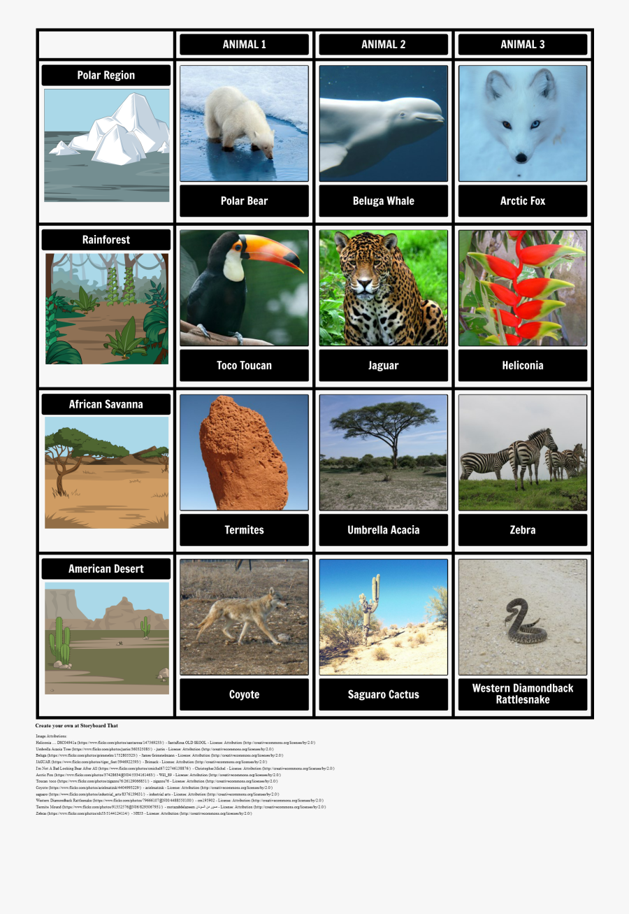 Animal Cell Png - Animal Habitat And Adaptation, Transparent Clipart