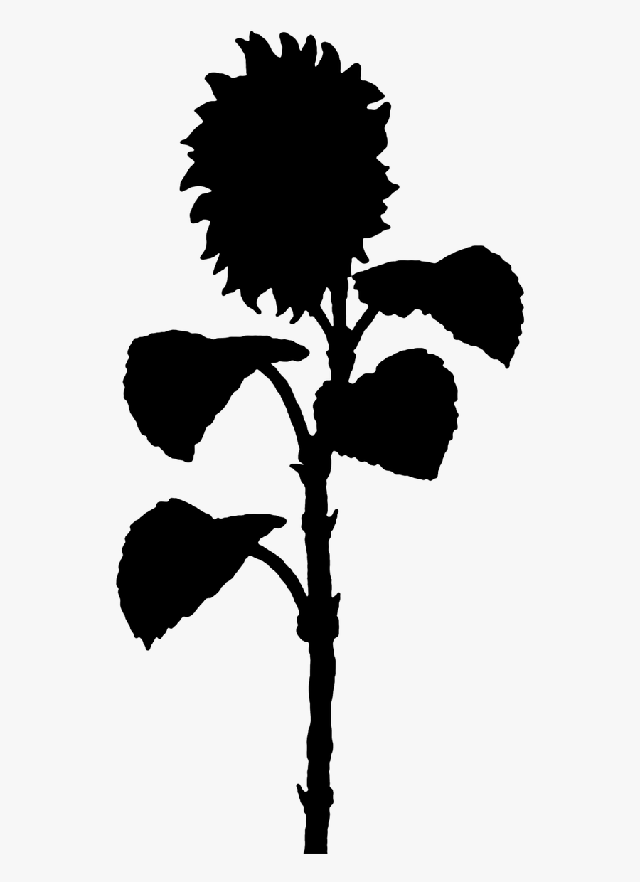 Sunflower Flower The Silhouette Free Picture - Sunflower Silhouette Png, Transparent Clipart