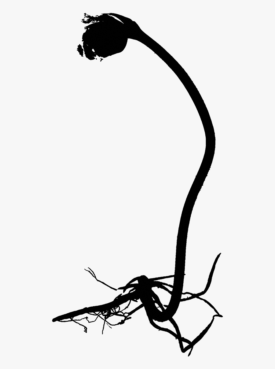 Silhouette, Transparent Clipart