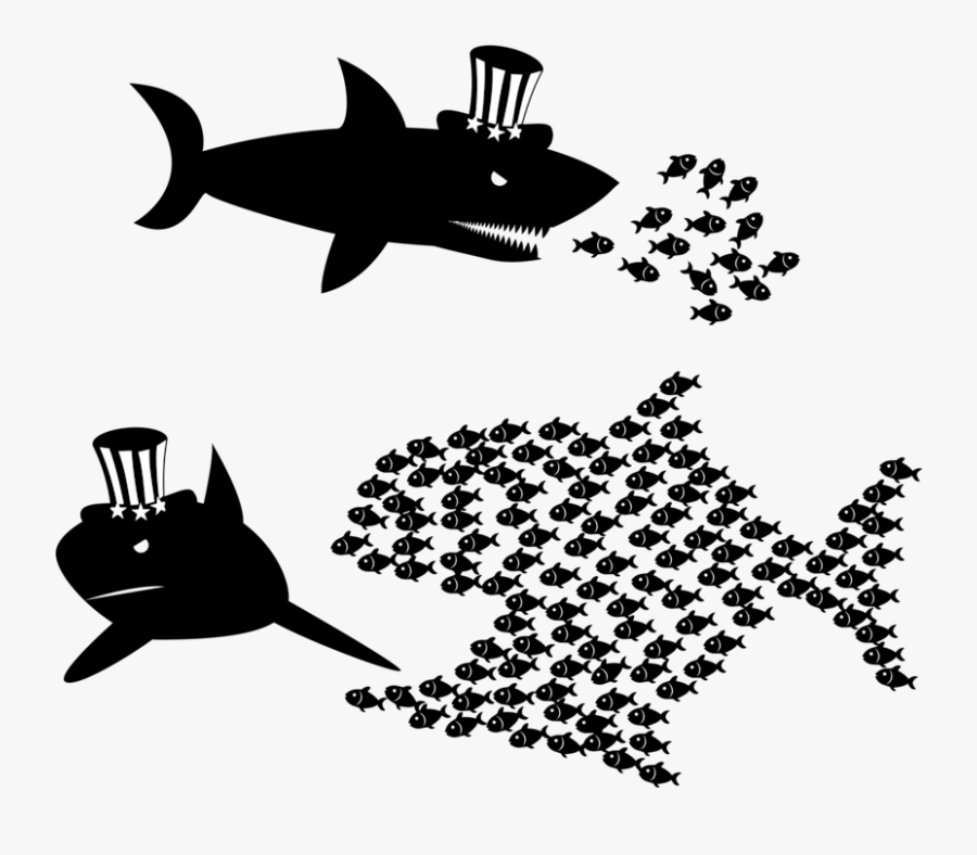Shark,stencil,silhouette, Transparent Clipart
