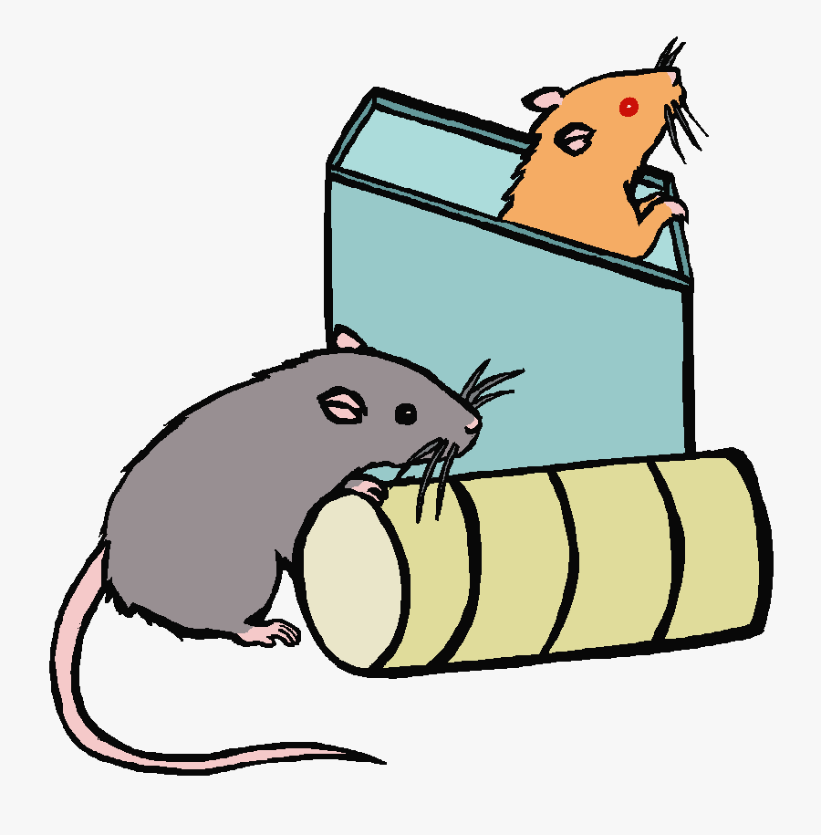 Cartoon Picture Of A Rat Free Download Clip Art - Rat In The Box Clipart, Transparent Clipart