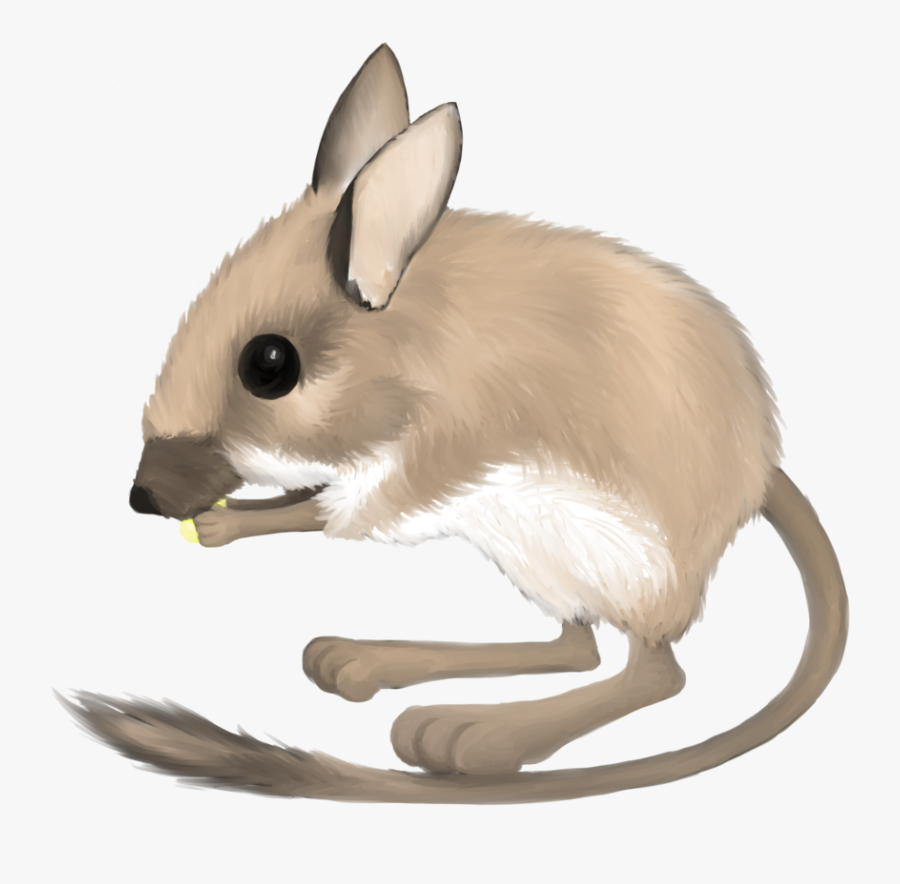 Transparent Rat Clipart Png - Mouse, Transparent Clipart