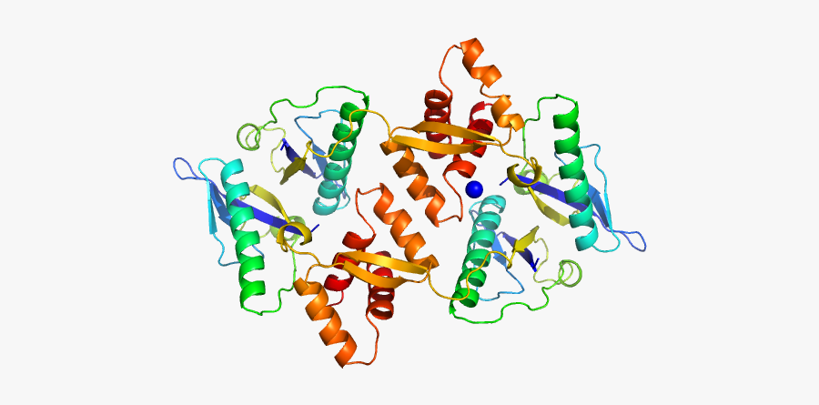 Type Ii Toxin-antitoxin System Hicb Family Antitoxin - Graphic Design, Transparent Clipart